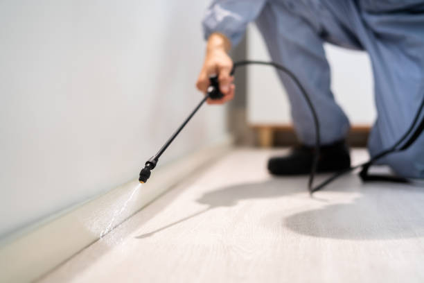Licensed Cockroach Control service in Camden, NJ - Nex Pest Control