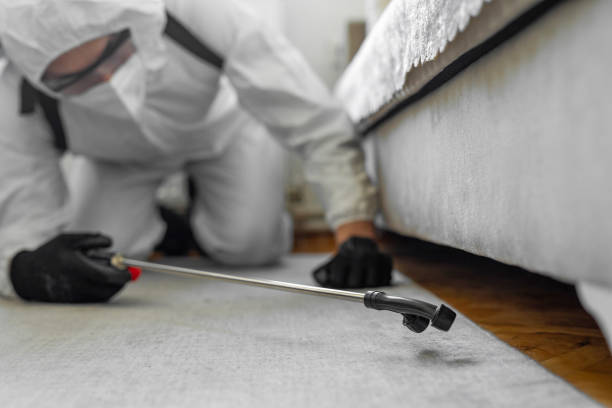 Professional Cockroach Control technician working in Camden, NJ