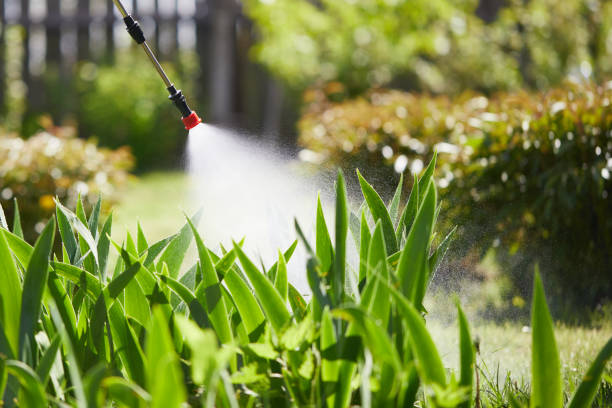 24/7 Emergency Cockroach Control experts in Camden, NJ
