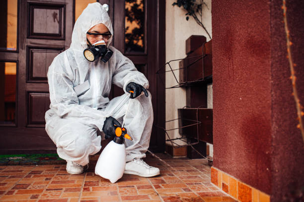 Reliable Cockroach Control contractor in Camden, NJ by Nex Pest Control