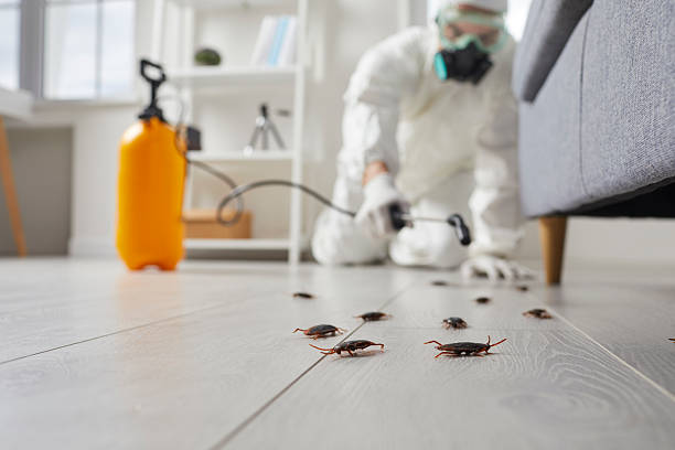 Trusted Cockroach Control service in Camden, NJ - Nex Pest Control