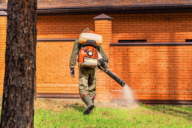 Trusted Bed Bug Control service in Camden, NJ - Nex Pest Control
